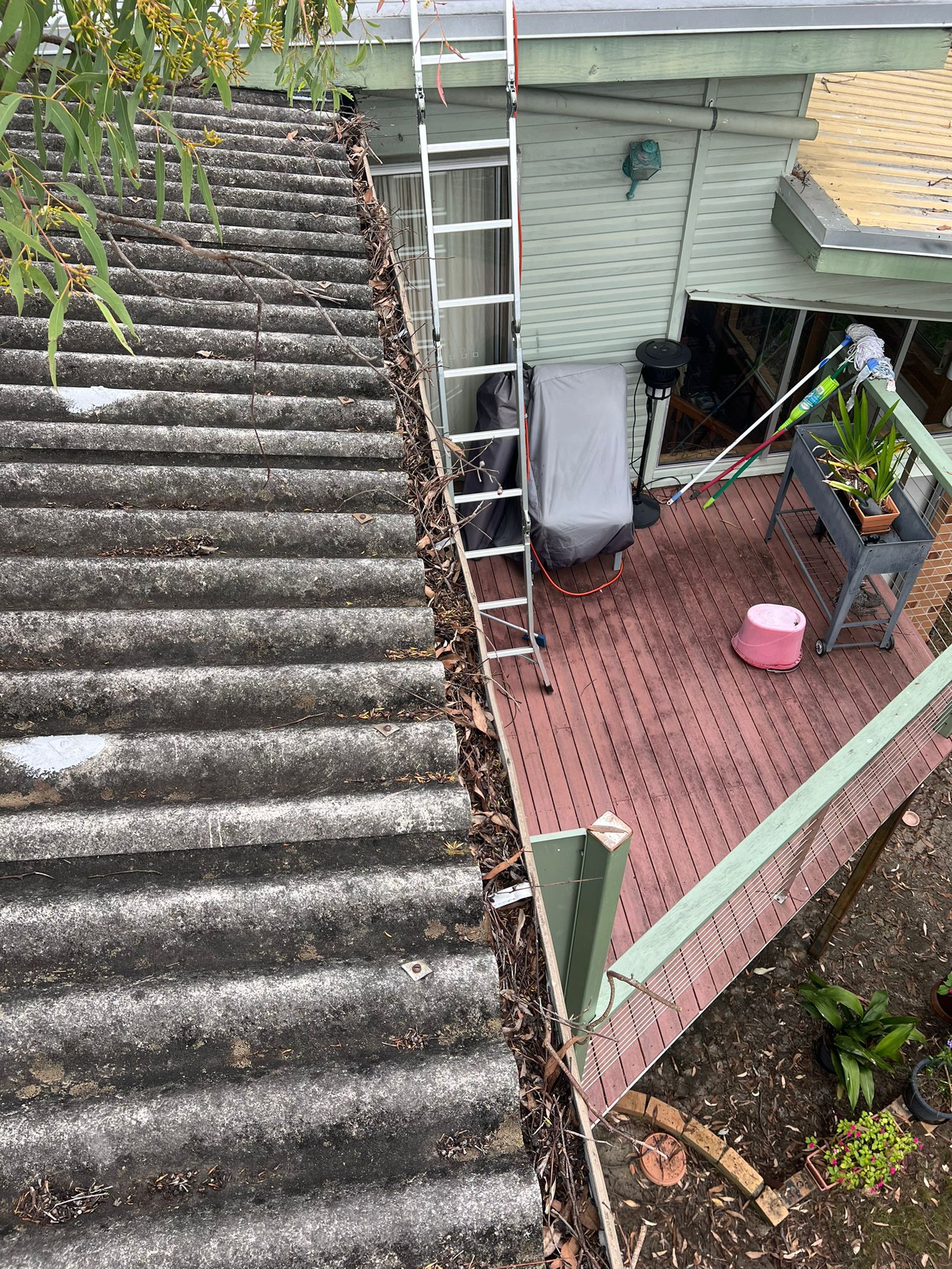 Before image