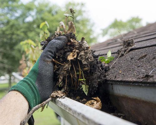 clogged-gutter-on-shingle-roof