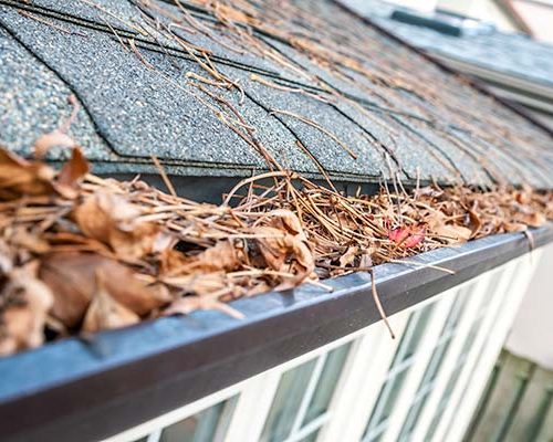 gutter-cleaning-services